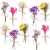 TSLBW 10 mini mazzi di fiori secchi, 14-15 cm, fatti a mano, naturali, rustici, con corda di iuta, piccoli fasci di fiori bohémien, per matrimoni, feste, centrotavola, fai da te, confezioni regalo e