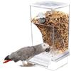 Syengery Mangiatoia Automatica per Gabbia in Acrilico Antispreco — Alimentatore con Posatoio per Cocoriti Calopsiti Pappagallini — Accessorio per Voliera da Interno Esterno Balcone Giardino Cortile