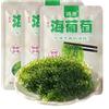 JOIYSVEN Uva di Mare Disidratata (100g*3 confezioni) - Alghe Marine, Umibudo, Caviale Verde, Contorni, Sottaceti Istantanei, Ingredienti per Hot Pot - Uva di Mare per Consumare Delizioso Kimchi