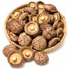 JOIYSVEN Funghi Shiitake Secchi , Qualità Premium, Ricchi Di Umami Per Brodi E Saltati in Padella, Vegan 100% Naturali, 500g