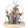 BENECREAT Campana in Vetro 12.2x13.5cm con Base in Legno, Copertura in Vetro per Fiori Eterni per Esemplari di Piante, Luci Fatate e Decorazioni da Tavola (PapayaWhip)