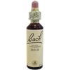 NATUR Srl BACH CENTER ESS BEECH 20ML