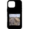 Meme Divertente Traffico Pica Regalo Custodia per iPhone 16 Pro Max Divertente Telecamera Traffico Pica