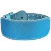 Chatonshen Cintura Palestra Powerlifting Cintura Sollevamento Cintura Allenamento Cintura Supporto Schiena in PU Robusta con Cuciture Rinforzate E Fascia Larga, XS 90CM, Style Two