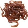 Courtieyeardceastea Una scatola di vermi della terra esca morbida imitazione aromatizzata e profumata 20g