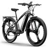 Antgooat Speedy E Bike Mountain Bike 29 pollici | Bicicletta elettrica MTB Ebike Batteria 672 Wh 25 km/h per 165-190 cm Dotata di portapacchi e parafango (Grigio)