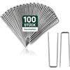 COM-FOUR® 100x aghi per fiori in paglia, clip clip per composizioni