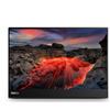 Lenovo ThinkVision M14t Gen 2 Monitor GARANZIA ITALIA