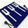Yechiry Set di 3 Diapason Angelici, Strumento di Guarigione del Suono in Lega di Alluminio 4096Hz, Diapason con Martello in Legno con Design Antistress, Ideali per la Pulizia dei Cristalli (SILVER)