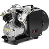 TUXING Compressore d'aria Pcp 4500Psi, compressore d'aria per bombole da sub, compressore d'aria ad alta pressione mini-doppio cilindro per riempimento di bombole da paintball/scuba 220V (TXEDM041)
