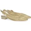 shoes&blues.es Scarpa Bassa da Donna, Comoda, Stile décolleté, Punta Affusolata, Materiale Intrecciato e Chiusura con Fibbia. Oro Talla 38