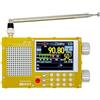 Autilyshop Radio DP-666 ad alta sensibilità a banda piena con chip TEF6686, batteria ricaricabile da 5000 mAh, per viaggi e uso esterno (giallo)