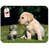 Edition Colibri CANE E GATTO Tappetino per mouse (24 x 19 cm), molto resistente allo strappo, con una forte base adesiva per una presa ottimale - compatibile con tutti i tipi di mouse