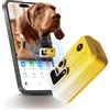 Enabot EBO ROLA PetTracker | GPS per Cani - Localizzatore per Cani con GPS - Tracker di attività - Colore Giallo