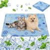 Qoosea Tappetino Rinfrescante per Cani e Gatti, Tappeto Refrigerante Gel Atossico per Animali, Lavabile Tappeto Gatti in Gel Autorinfrescante Pet Cooling Mat in Estate - 30 * 40CM