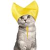 MiOYOOW Cuffia da Doccia per Gatti, Cuffie da Bagno Impermeabile per Gatto, Protezione per le Orecchie per Gatti, Cappello per Gattini e Piccoli Cani per Bagno, Toelettatura, Pioggia