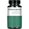 Generico Akkermansia - Supporta il controllo del peso e la salute dell'intestino | Rilascio ritardato, probiotici, potenziano le difese immunitarie