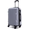 R.Leone Valigia 55x40x23 cm Trolley Bagaglio a Mano 4 Ruota in ABS Wizz, ITA Airways,Lufthansa, Swiss, Austrian Airlines 20373AR (Argento, Valigia 55x40x23cm)