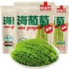 JOIYSVEN Uva di mare (100 g* 3 confezioni) - Alghe disidratate, Umibudo, caviale verde, alghe lato uva di mare per mangiare deliziosi kimchi, contorni, sottaceti istantanei verdure, ingredienti hot pot