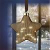 Stella MicroLED Appendino Kaemingk - Decorazione Luminosa Brown con Luce Bianca Calda
