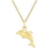 CARISSIMA Ciondolo delfino da donna in oro giallo 9 ct su collana curb, 46 cm