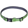 Nobby Collare Classic Preno Mini, Verde, L: 20-35 cm, Larghezza: 10 mm, 1 Pezzo