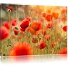 Pixxprint InstyleArt Campo di Papaveri Stampa su Tela 80x60 cm Artistica murale
