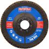 Faithfull Disco abrasivo a lamellare ossido di amuninio grana 80 (medio) 215 mm (5) per smerigliatrici angolari