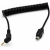 Generico Cavo di scatto, compatibile con Canon, 6D 7D 50D 40D | 30D 5D 20D 10D 5D Mark II III, 2.5mm, cavo telecomando 1C 3C 1N 3N(3N)