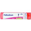 BOIRON Srl FOLLICULINUM 7CH GR BOIRON