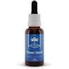 GREEN REMEDIES SpA AUSTRALIAN BUSH FLOWER MOOD
