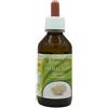 GOLDEN WAVE Srl HERICIUM MYCOVET PROFESSIONAL