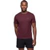 DANISH ENDURANCE Maglietta Running Uomo, Traspirante, Pacco da 1 o 2 | Top da corsa in rete, leggero e resistente agli odori con tecnologia Polygiene, per corsa e allenamenti in palestra