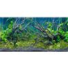 MIRRORANG 61x30cm Acquario Tropicale Sfondo Fiume Letto & Lago Pianta Acquatica Sottomarino Albero Ramo Acquario Sfondo Vinile