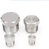 NONE 1/8" 1/4" 3/8" 1/2" 3/4" 1" 1-1/4" 1-1/2" 2" BSPT NPT Maschio 316 304 Tappo terminale svasato in acciaio inossidabile Tappo a testa quadrata