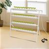Bymaocar Kit per coltivazione del sito idroponico 36 fori 4 tubi Sistemi per coltivazione di piante senza terra Flusso Giardino per colture di acque profonde con pompa