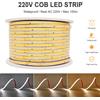 KLA-FCOB AC 220V IP67 Impermeabile COB LED Strip Light Dimmerabile 5M 10M 20M 30M 40M 50M 100M Nastro LED ad alta luminosità per la decorazione delle scale esterne