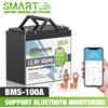 TCBWORTH Batteria al litio LiFePO4 TCBWORTH 12V 100Ah con 100A BMS, protezione a bassa temperatura, oltre 7000 cicli per motori da traina, camper, sistema solare