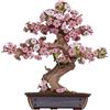 Robotime Rolife Puzzle 3D in legno Sakura Bonsai Facile montaggio Kit bonsai di pino per sempreverde Regalo di Natale per la decorazione della casa di famiglia