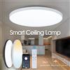 NONE Lampade da soffitto a LED intelligenti 50W 80W App di controllo remoto Plafoniere moderne dimmerabili a prova di polvere e umidità Soggiorno camera da letto