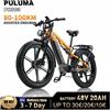 NONE Bicicletta elettrica PULUMA PH003 con doppio motore, batteria rimovibile 48V20AH, pneumatici fat da 26*4.0 pollici, per uso urbano e fuoristrada.