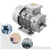 NONE Motore elettrico da 0,75KW/1,1KW Motore asincrono trifase Motore a bobina in rame puro 1400 giri/min/1405 giri/min 380V