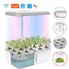 NONE Tuya Wifi Sistema di coltivazione idroponica con luce di coltivazione a LED Pompa automatica Sistema di giardinaggio interno intelligente Kit da giardino alle erbe Fioriera per la casa