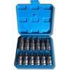 NONE Set completo di 12 chiavi Torx con bussole in acciaio CRV ad alta resistenza. Include custodia. Misure: T20 T25 T30 T40 T45 T50 T55 T60 T70 T80 T90 T100. Ideale per officina e uso professionale.