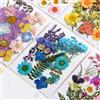 NONE Fiori secchi Pianta naturale reale Fiore pressato per resina epossidica Riempimento fai da te Nail Art Artigianato Creazione di gioielli artigianali