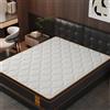 SKSBTF 160/180x200 cm Materasso a molle insacchettate 25 cm di spessore Materassi in memory foam Silenzioso Dormire zonato Supporto Coppia Letto matrimoniale Zerbino