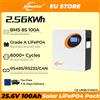 jsdsolar Batteria al litio Jsdsolar 24V 100Ah LiFePO4 2.56KWh Powerwall con BMS 6000 + cicli paralleli per energia di backup solare off-grid