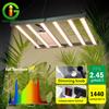 GRAXIDEA Perline LED UV e IR sono interruttori indipendenti 120W 200W 320W Corpo lampada in alluminio HIGH PPFD Spettro completo LED Luce per la crescita delle piante