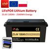 SJY Batteria al Litio LiFePO4 24V 100Ah da 2560Wh, Pacco Batteria LFP con 6000 Cicli per Sistema Inverter Solare 3kw 5kw, Camper, Motore Fuoribordo, Furgone