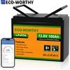 ECO－WORTHY ECO-WORTHY LiFePO4 100Ah Bluetooth, Batteria al Litio 12V 100Ah con BMS Protezione Basse Temperature e Max per Pannello Solare